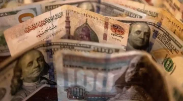 سعر صرف الدولار مقابل الجنيه اليوم بين الاستقرار والتقلب في مصر